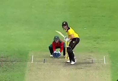 Griffith's 67 goes in vain as Tasmania pip Western Australia