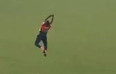 STUNNERS! Flying catches at their best