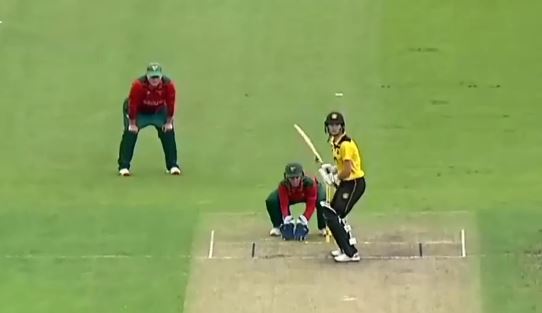 Maddy Darke's valiant 70 troubles Tasmania bowlers