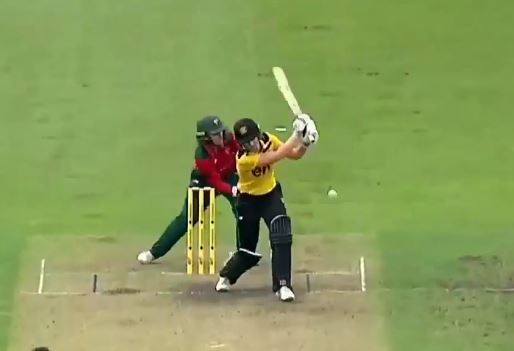 Tasmania beat resilient Western Australia by 31 runs