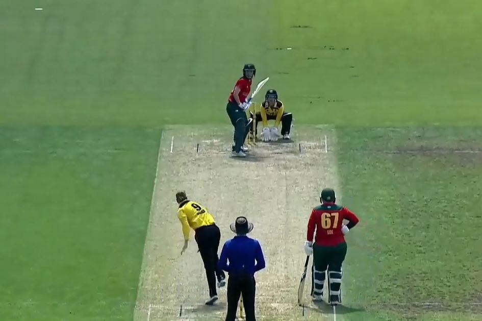 Crafty Nicola Carey sculpts Tasmania's chase with steady 60*