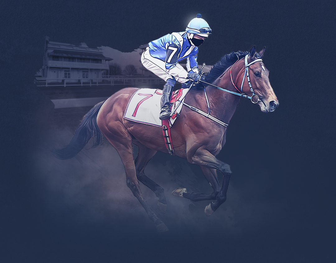 Day 3: cheltenham festival of cheltenham festival banner