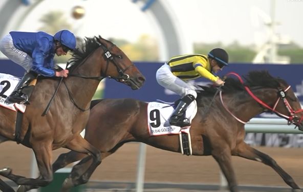 Dubai World Cup 2023: Live on FanCode!