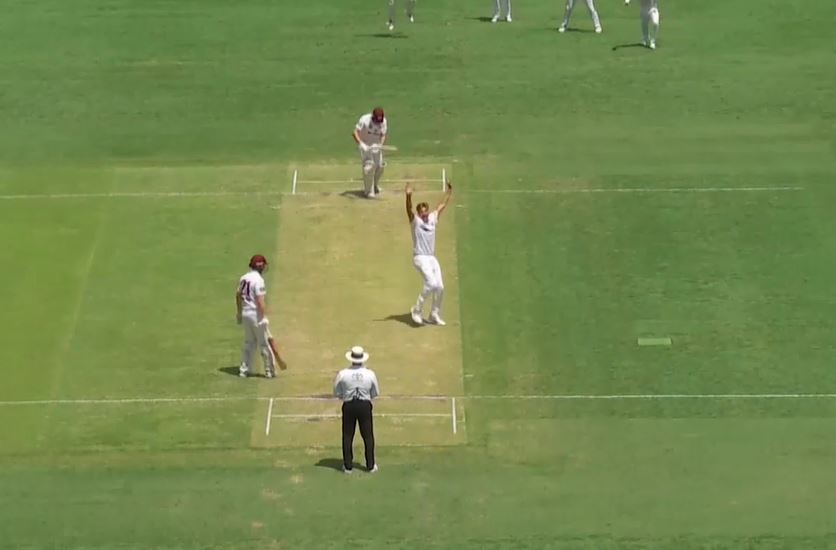 Spencer Johnson shreds Queensland with a 7-fer