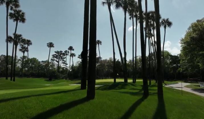 TPC Sawgrass Course Beauties