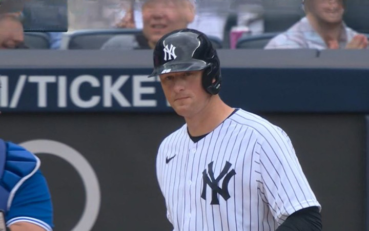 MLB: New York Yankees v Toronto Blue Jays - Highlights