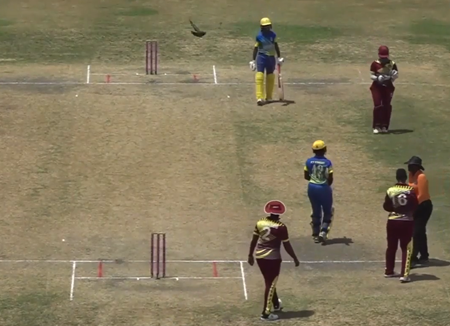 Kycia Knight guides Barbados to 8-wicket win over Leeward Islands