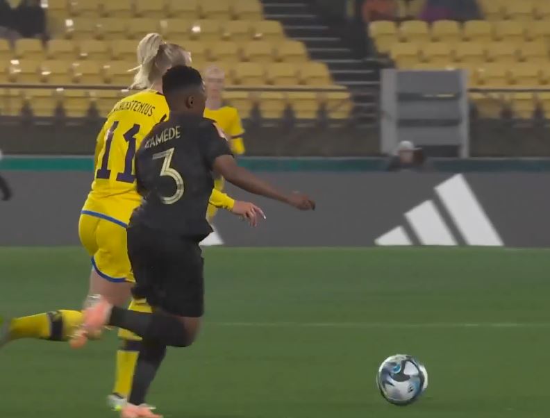 Sweden strike late to win over South Africa 2-1