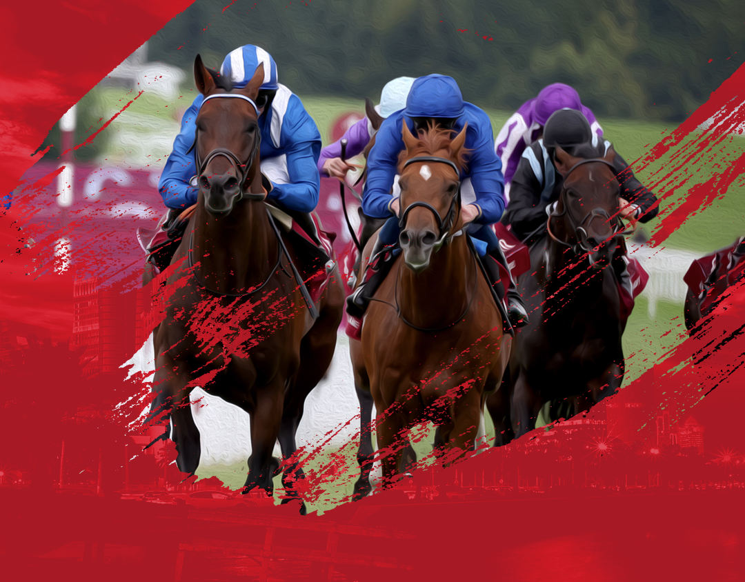 Day 2: qatar goodwood festival of qatar goodwood festival 2023 banner