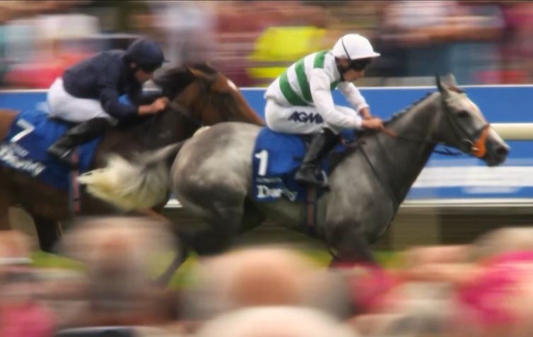 Live Action Alert! York Ebor Festival 2023 on FanCode