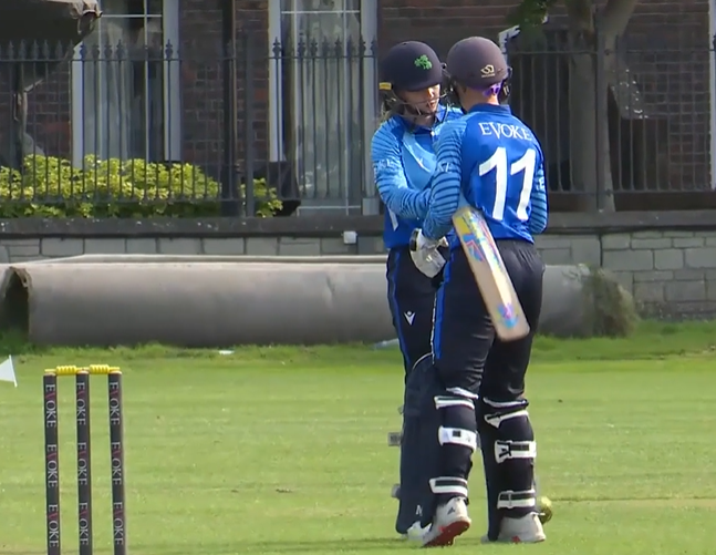 All-round Typhoons pummel Scorchers by 7 wickets