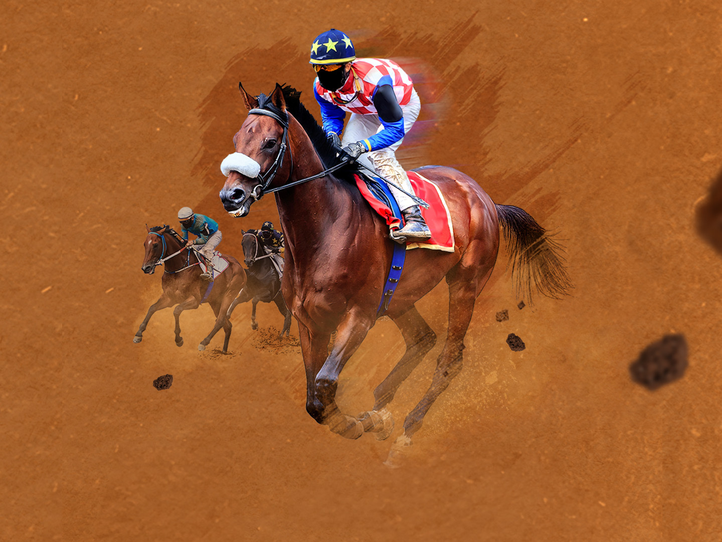 Palio di siena of palio di siena, 2023 banner