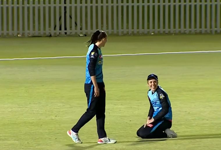 Schutt, Wellington star as Adelaide Strikers register 59-run win