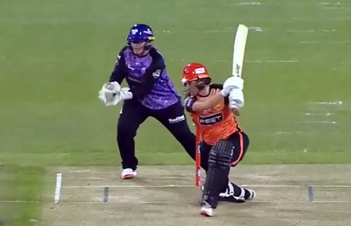 87* off 44! Sophie Devine propels Perth Scorchers to 186