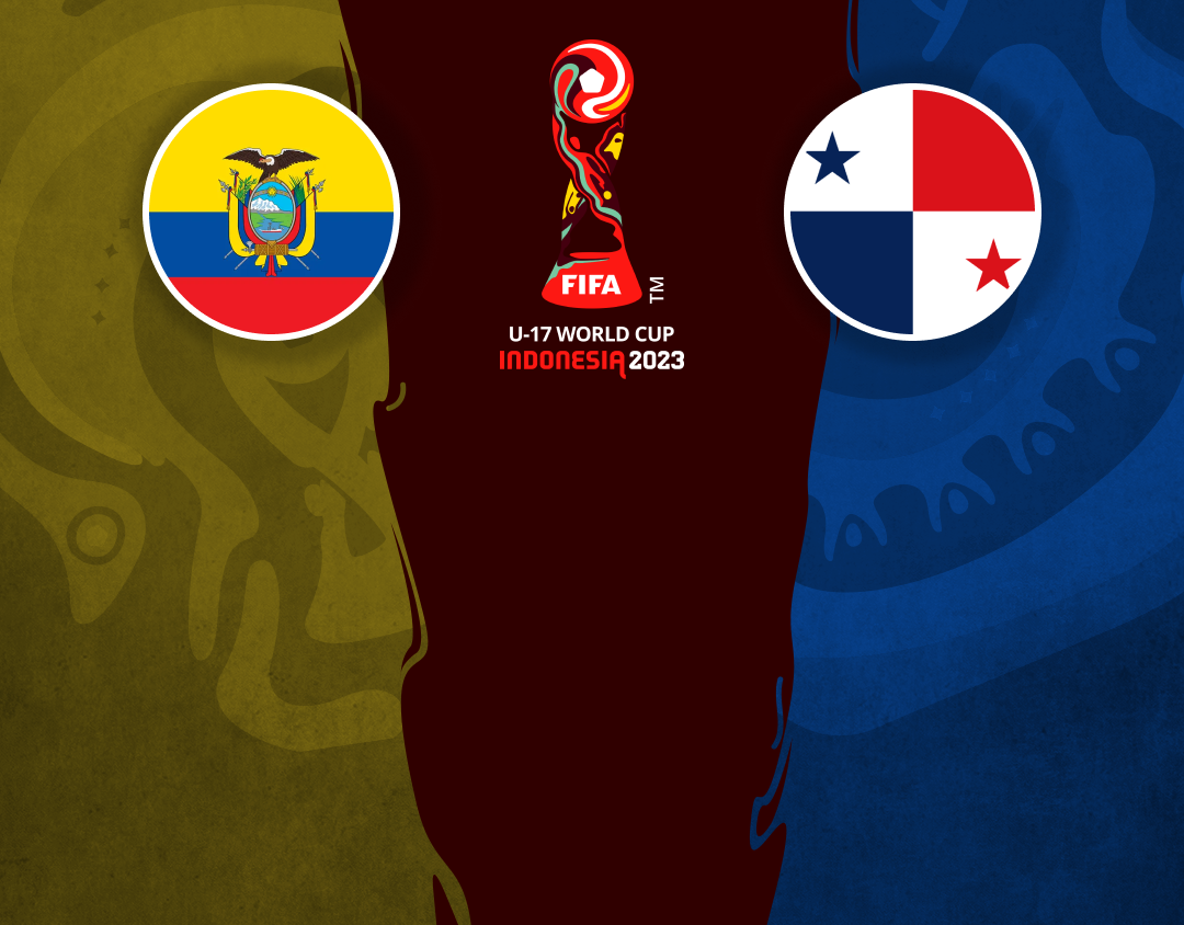 Match #28 of fifa men's u17 world cup banner