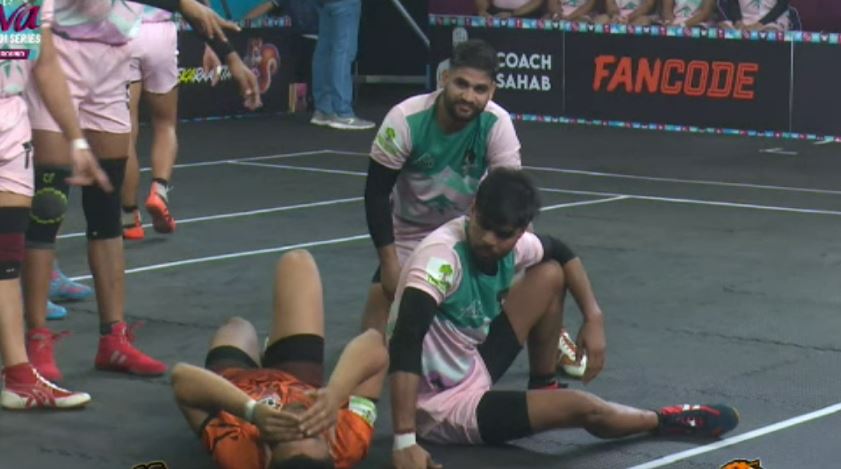 Himalayan Tahrs vs Tadoba Tigers: The Best Performers