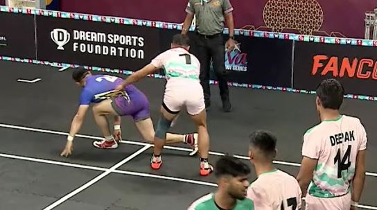 Himalayan Tahrs vs Aravalli Arrows: The Best Performers