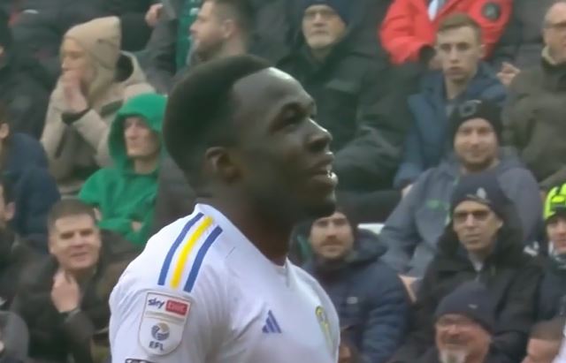 Leeds United Dominate Plymouth Argyle to Win 2-0