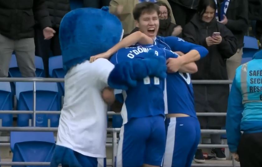 Cardiff City Outmuscle Ipswich Town 2-1