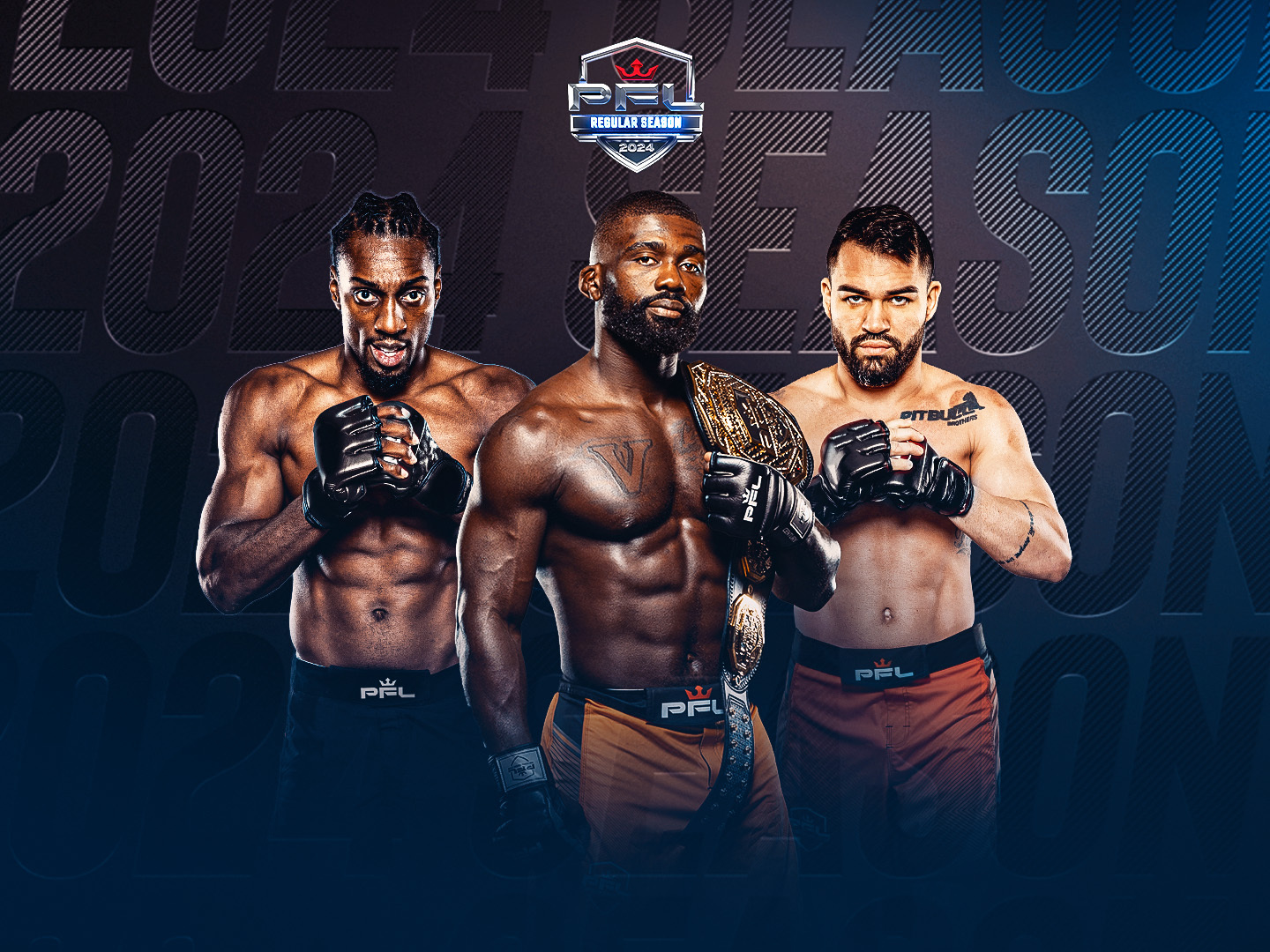 Light heavyweights & lightweights of professional fighters league banner