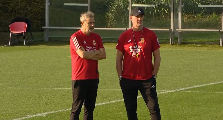 Euro 2024: Hungary preview