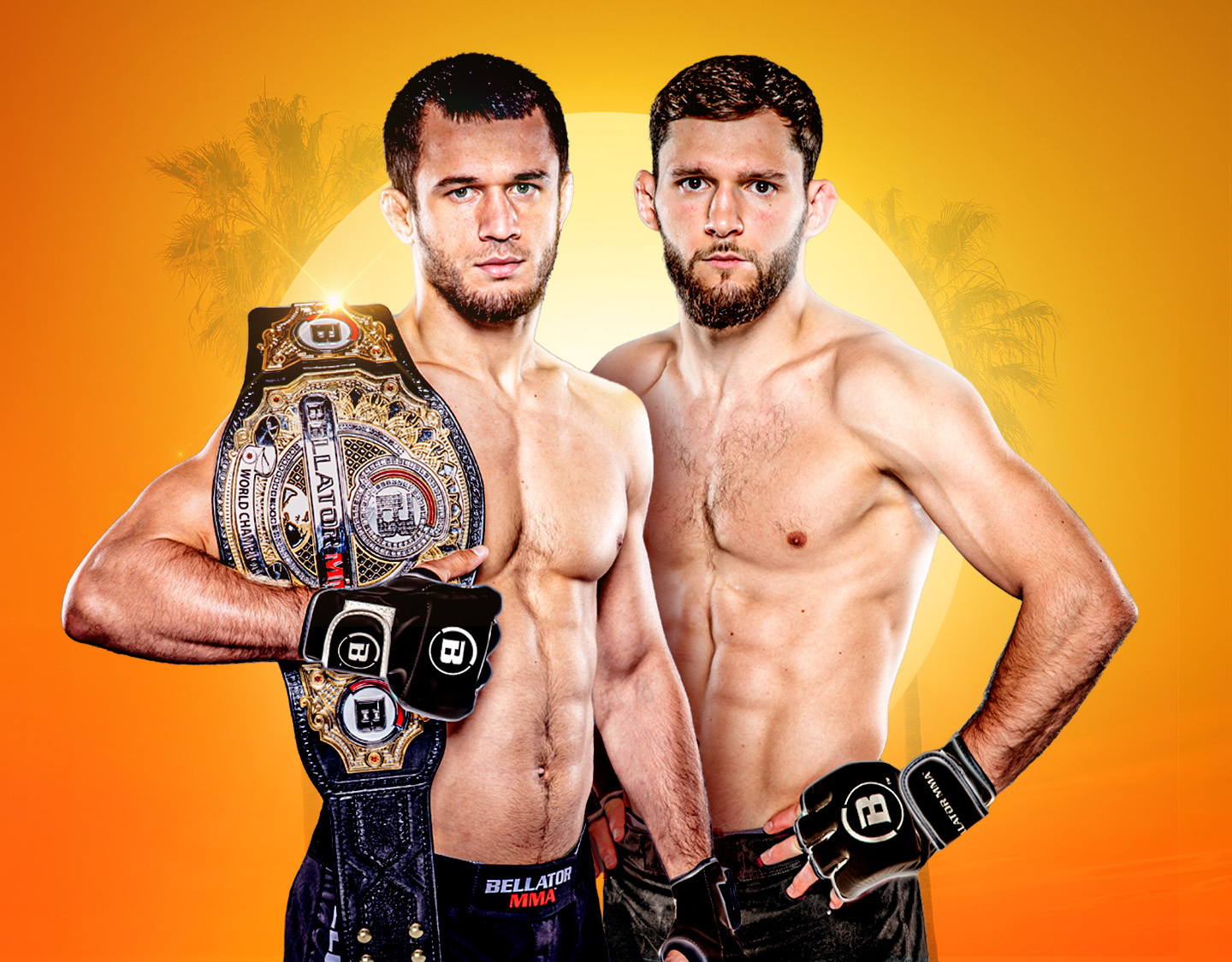 Bellator champion series of professional fighters league banner